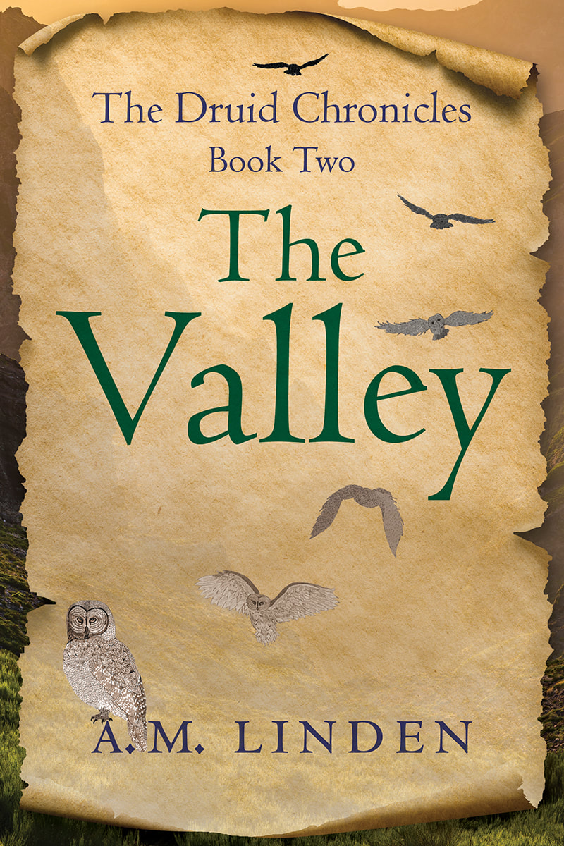 The Valley book cover